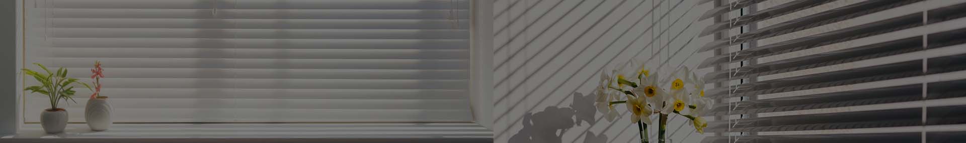 Window Blinds